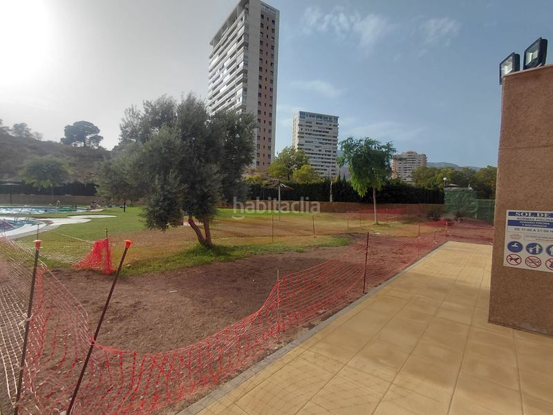 Foto b04fa4ed-9ead-4330-82ab-84015c9fb1f4. Apartament amb piscina a Via Parque Benidorm