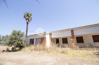 Xalet  Partida peixa som. mes