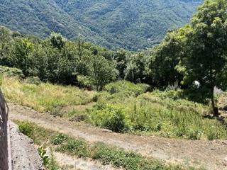 Finca rústica a Carrèr corraus 16