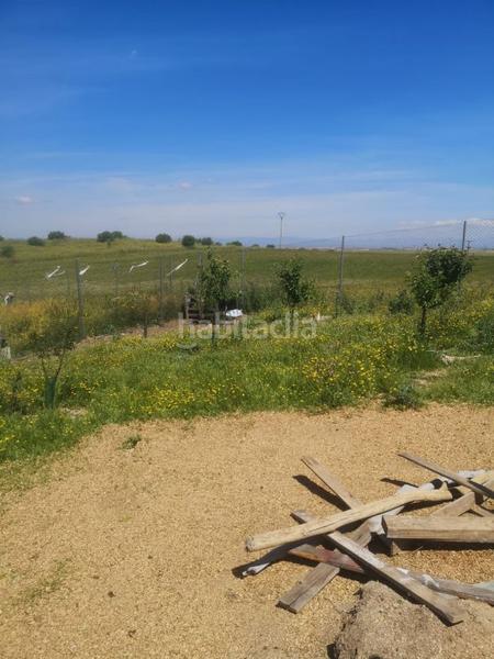 Foto b4a6a4a0-b675-4cad-bebb-c9a298fee1c9. Finca rústica parcela rústica 2.500m2 en Serranillos del Valle