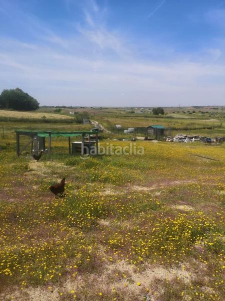 Foto e9f43238-17e5-4706-b973-91f2ce93498e. Finca rústica parcela rústica 2.500m2 en Serranillos del Valle