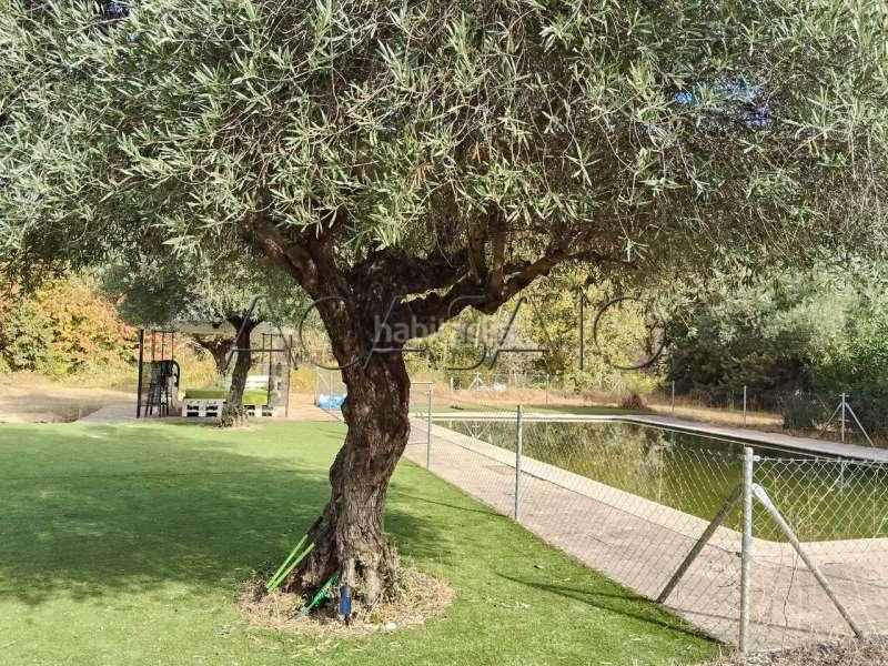 Foto 2d07b4e5-a4f8-47a1-9db6-5e13a52940fb. Casa amb calefacció aparcament piscina a Casar de Escalona (El)