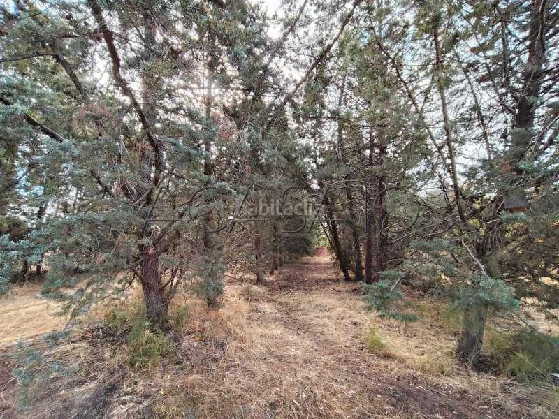 Foto 640b8ac0-11f2-4d15-ad73-12eb0729f29e. Casa amb calefacció aparcament piscina a Casar de Escalona (El)