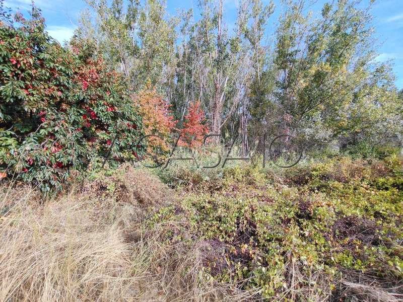 Foto 800ba669-b066-4df7-a7b3-d0759de81ed2. Casa amb calefacció aparcament piscina a Casar de Escalona (El)