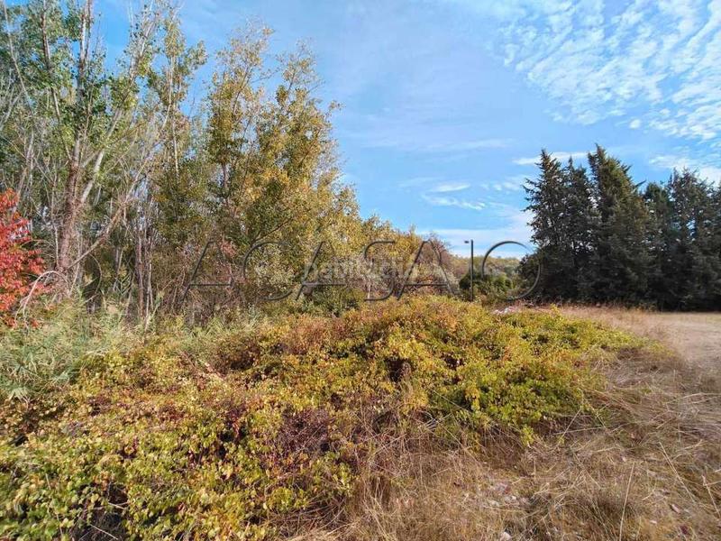 Foto 8c77076e-131c-4523-8fe2-a73a47e5ea90. Casa amb calefacció aparcament piscina a Casar de Escalona (El)