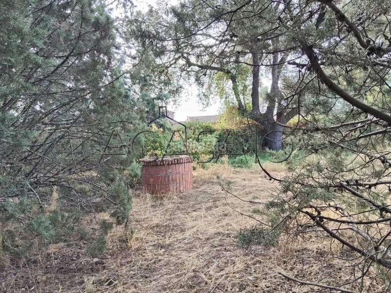 Foto 915a968b-f406-45a7-81a0-976a97e1ee4b. Casa amb calefacció aparcament piscina a Casar de Escalona (El)