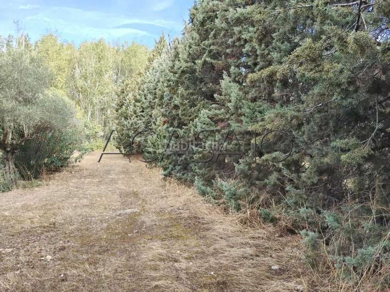 Foto a4e86c77-741f-46f0-9db6-86eb9b10639a. Casa amb calefacció aparcament piscina a Casar de Escalona (El)