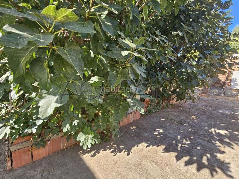 Foto fc3e9322-24d2-4fda-ab36-a03c440121fa. Casa adossada a Cobeja