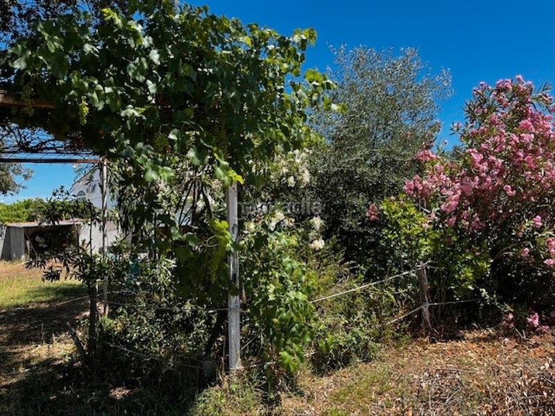 Foto fe3e5481-db2d-4cbe-95ba-17e32e8424a6. Chalet gran chalet en un planta con gran parcela con piscina 150.000 en Nombela