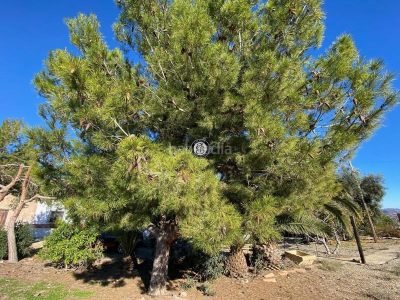 Foto 375bfd28-1d65-4f38-b537-1d5bb0d1e047. Bauernhof mit parking in Mazarrón casco urbano Mazarrón