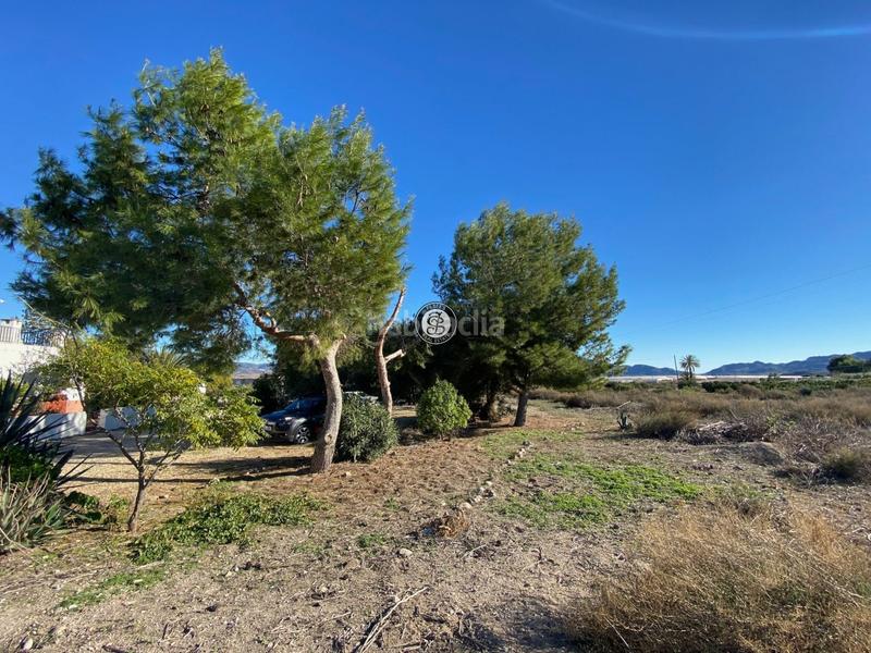 Foto 93476f32-e115-4441-857e-3e8bc52572e1. Bauernhof mit parking in Mazarrón casco urbano Mazarrón