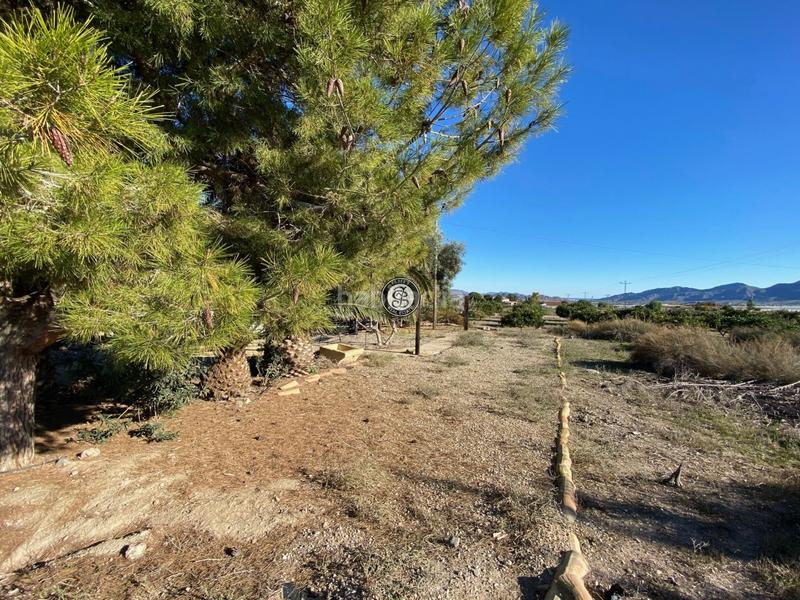 Foto dd085e47-16c8-461d-8207-c955d78865b1. Country house with parking in Mazarrón casco urbano Mazarrón