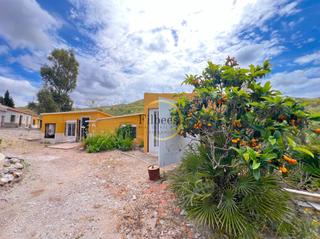 Country house in Los Puertos