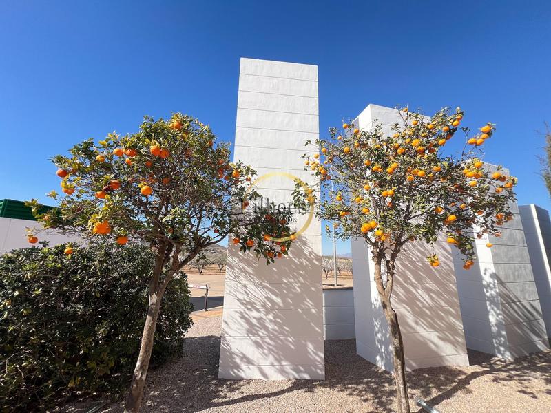 Foto 63f34f8e-41fd-427c-908b-c32249183470. Casa adosada en Mazarrón casco urbano Mazarrón