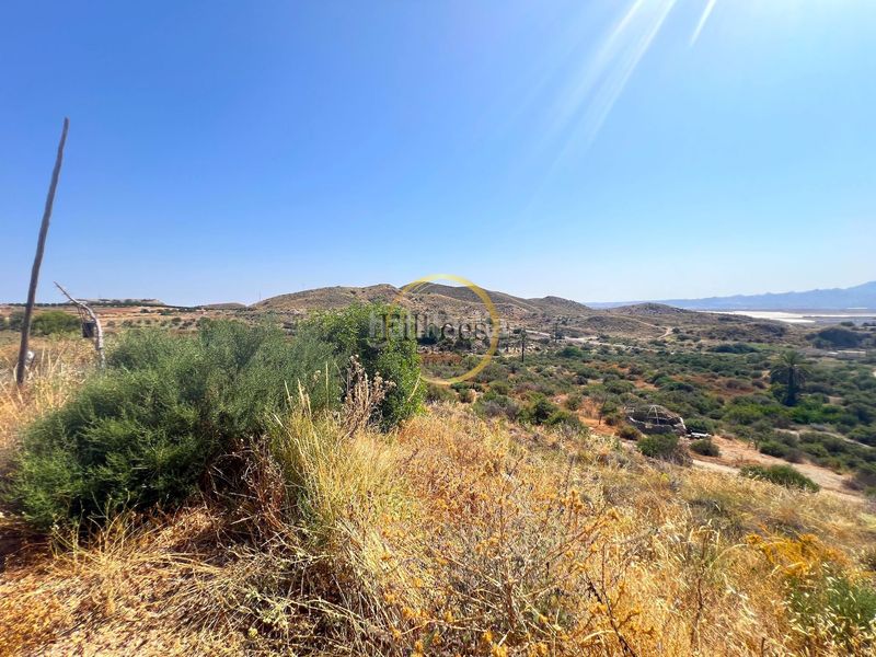 Foto a60b8812-9de1-4ac9-b58c-0d765682038a. Masia a Mazarrón casco urbano Mazarrón