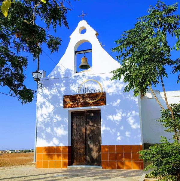 Foto a09c28d9-2abb-494f-904c-731bde5bb3d0. Casa amb aparcament piscina a La Magdalena - Molinos Marfagones Cartagena