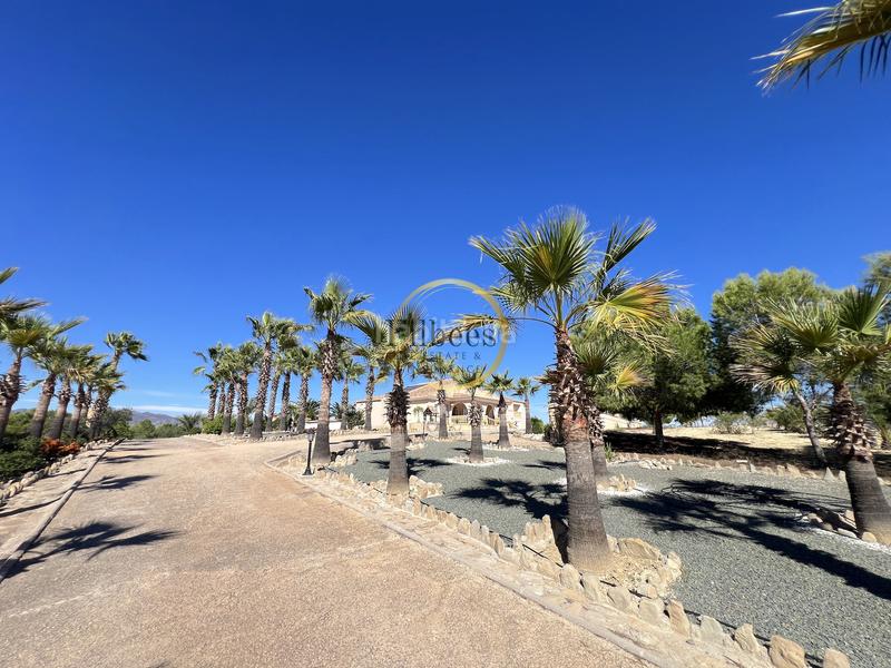 Foto 368c4e02-8dea-4820-be48-a895339f7dff. Casale con riscaldamento parcheggio piscina in Mazarrón casco urbano Mazarrón