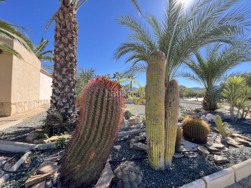 Foto 7fd45812-fd2d-4d35-baf3-a77ff32123bb. Casale con riscaldamento parcheggio piscina in Mazarrón casco urbano Mazarrón