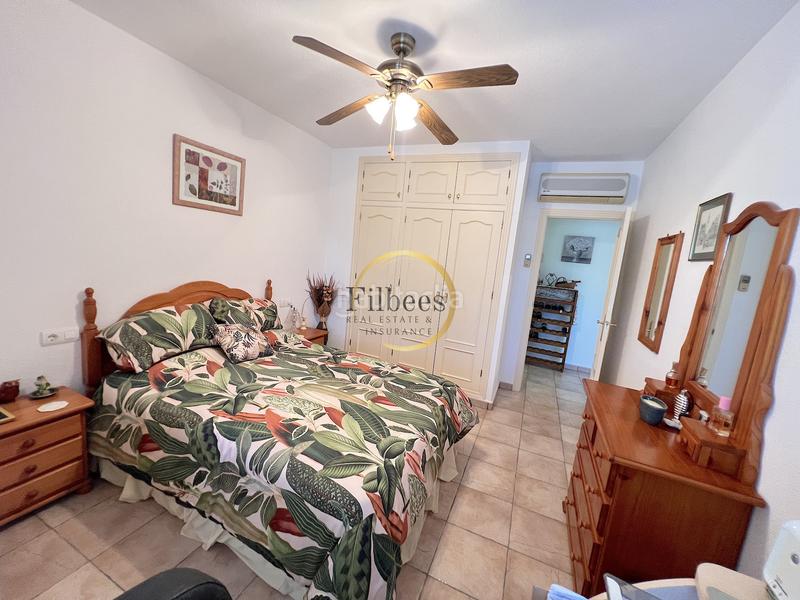 Foto 3004ca63-5516-46eb-baa0-36a09fdf5c5e. Masía en Mazarrón casco urbano Mazarrón