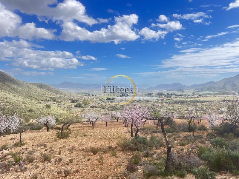 Foto 0b6bb3e2-8c96-483c-9867-aeee01f65d6d. Casale con parcheggio in Morata Lorca