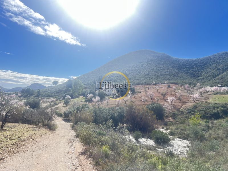 Foto 22e9e33d-dc17-4825-8c40-6a60ba90bda9. Casale con parcheggio in Morata Lorca