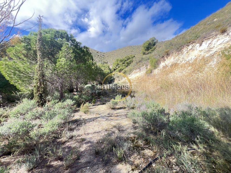 Foto 270b7897-34f2-4d0b-9b15-ff7d81da61a6. Casale con parcheggio in Morata Lorca