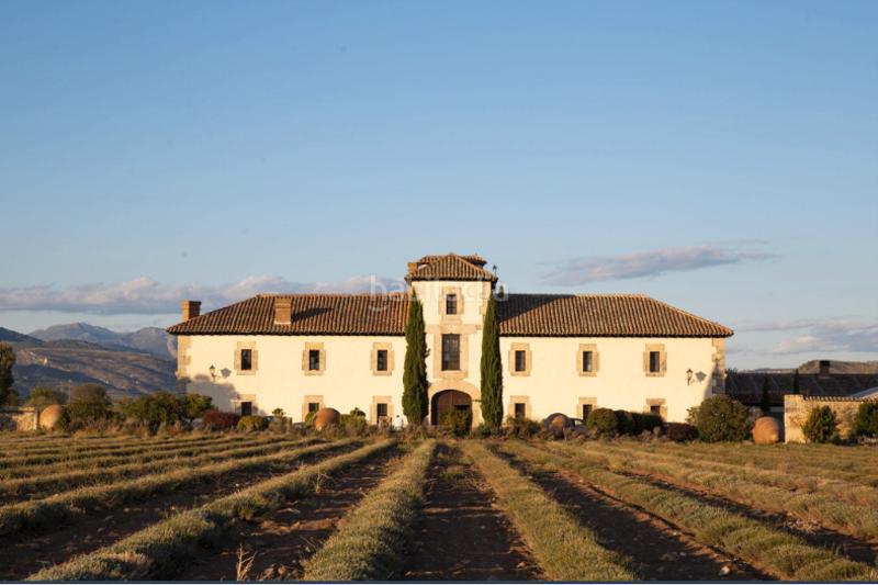 Foto 83636726-8bf8-48ef-9950-293bdc84c82f. Terreno residenziale in Torremocha de Jarama