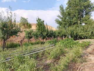 Fondo rustico in Diseminado canal de isabel ii 4a