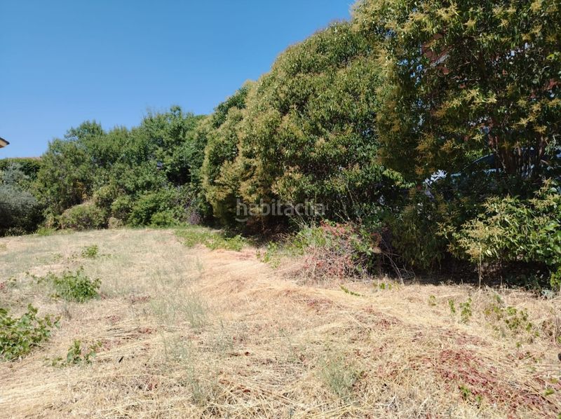 Foto 0ce0424a-9fa0-4378-a3e1-c3bdd8f03256. Terreny residencial a Torrelaguna