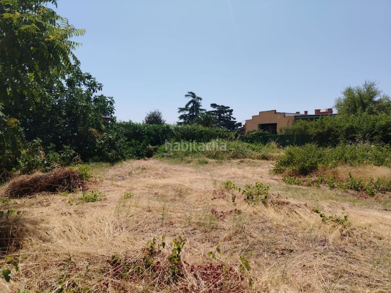 Foto 0eaffd9b-0b22-4413-abe9-31f0ebee2364. Terreny residencial a Torrelaguna