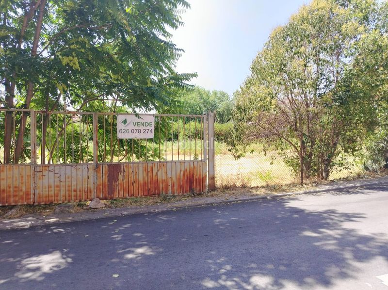 Foto 6055eb99-fb77-4463-a675-ffd481a81981. Terreny residencial a Torrelaguna