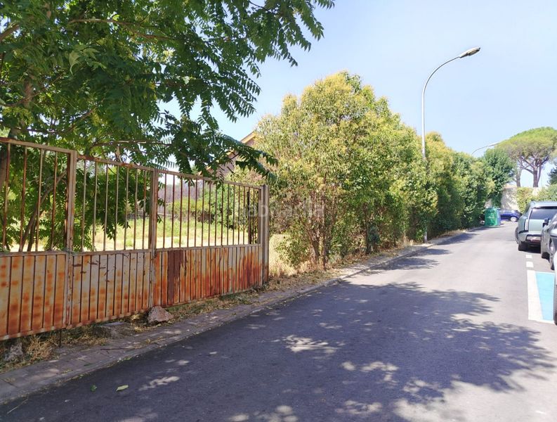 Foto e5c2b501-a937-4117-b884-59d4aebd6b8c. Terreny residencial a Torrelaguna