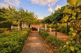 Residential Plot in Uceda