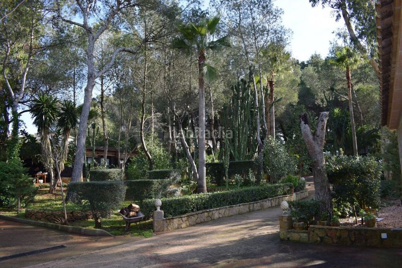 Foto 62c9ea7e-ab9c-44a5-9cb9-9cd2591b43d5. Xalet amb piscina a S´Aranjassa Palma de Mallorca