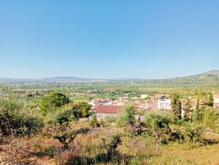 Terreny residencial a Lloseta