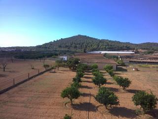 House in Porreres