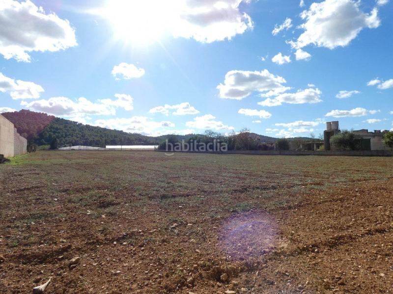 Foto 49936535-50d1-4f8b-8953-c2d29584076b. Casa en Porreres