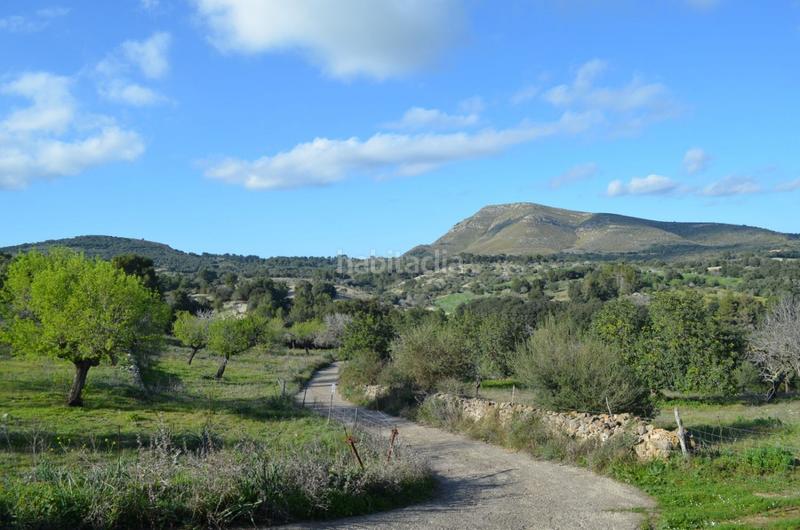 Foto 150971d0-85d4-4608-b150-77dd5e467302. Masía en Sant Llorenç des Cardassar