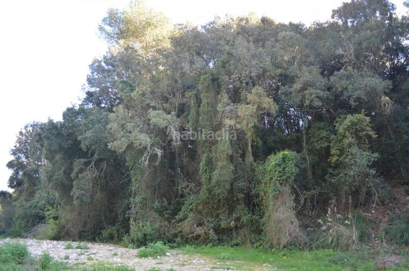 Foto ac096ffe-b27f-45a6-8e51-b6eb06b80044. Masía en Sant Llorenç des Cardassar