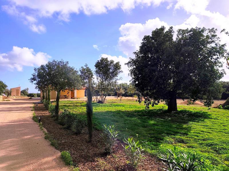 Foto d5e4b442-5eb2-4727-8af2-8a62e07a6538. Location mas avec chauffage parking piscine dans Porreres