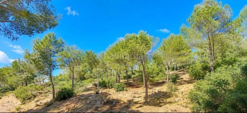 Foto 0d3a4c6c-7a35-46fa-9aea-903d7b987912. Terreny residencial a Canyamel Capdepera