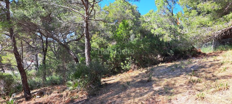 Foto 504859a4-3a1f-4de7-bcbe-469e5eba67f6. Terreny residencial a Canyamel Capdepera