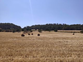 Rural plot in Porreres