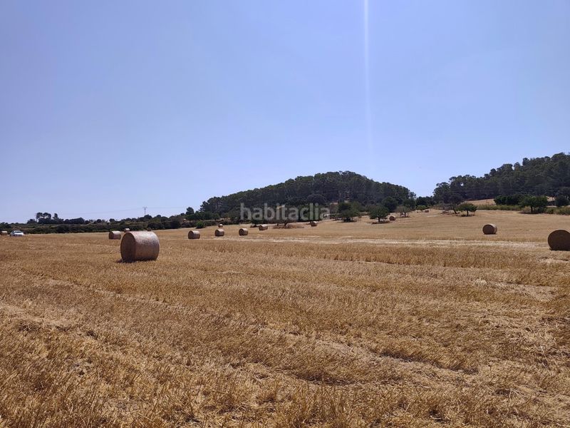 Foto 2664f4ae-a435-4bd0-89f7-461679a78114. Finca rústica a Porreres