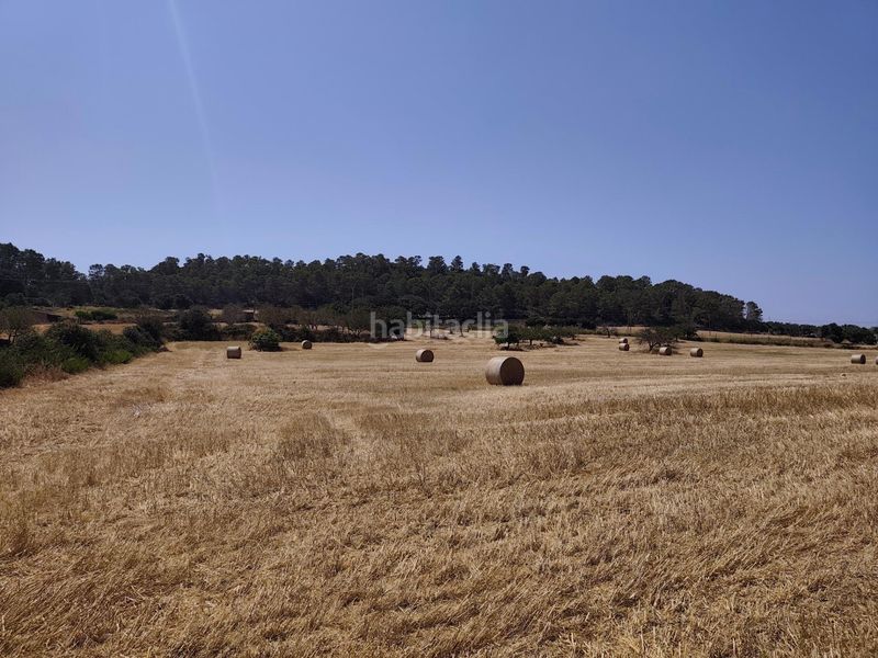 Foto 431bd7b0-3901-441e-b922-ae42409cddc6. Finca rústica a Porreres