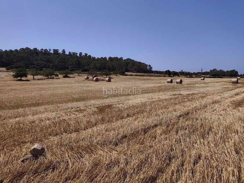 Foto 47a9c844-8848-4de8-95aa-9553278e4e57. Finca rústica a Porreres