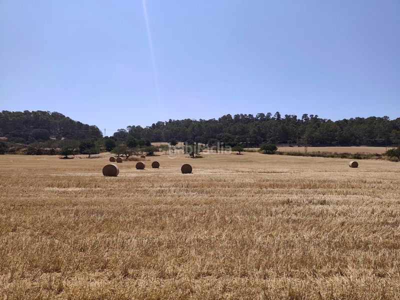Foto b2c13e2f-6104-4e1d-8c0b-a892e49bce6d. Finca rústica a Porreres