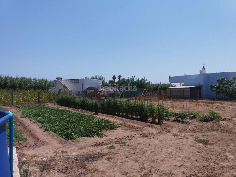 Foto 50d14b3b-ab75-44e1-a4fe-dad30668d8a2. Masía en El Marenyet Cullera