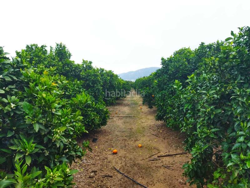 Foto 0812a2cf-f1e2-4f2e-b493-8625a45c3073. Casale in Bonavista-Lago San Lorenzo Cullera