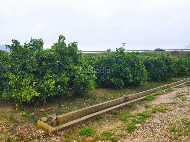 Foto 15f3c956-6c64-4e11-8aac-a56503bca4d4. Casale in Bonavista-Lago San Lorenzo Cullera